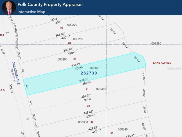 328 CALADIUM AVENUE, Lake Alfred, FL 33850