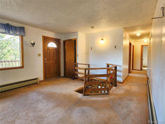 305 Divide View Dr, Idaho Springs, CO 80452