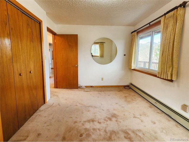 305 Divide View Dr, Idaho Springs, CO 80452