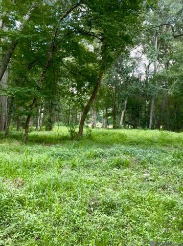 LOT A-1-A Lemon Rd, Slaughter, LA 70777