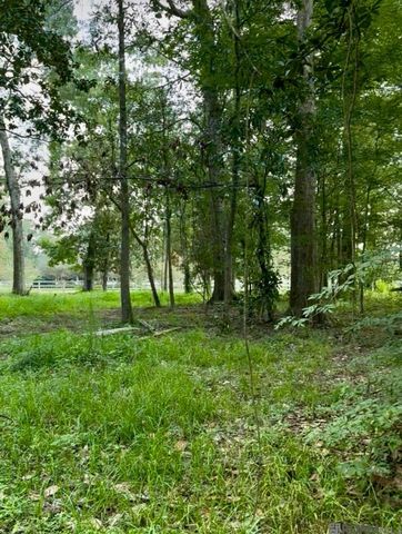 LOT A-1-A Lemon Rd, Slaughter, LA 70777
