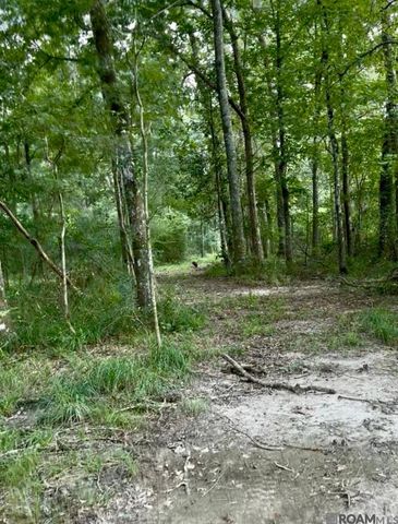 LOT A-1-A Lemon Rd, Slaughter, LA 70777