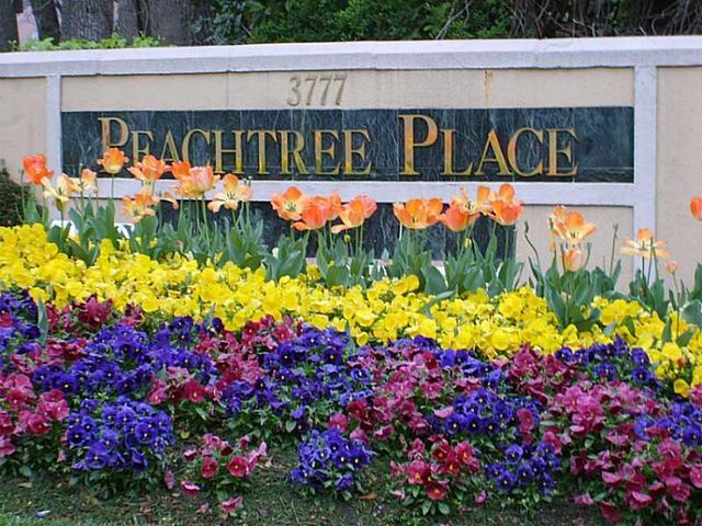 3777 Peachtree NE Road 1722, Atlanta, GA 30319