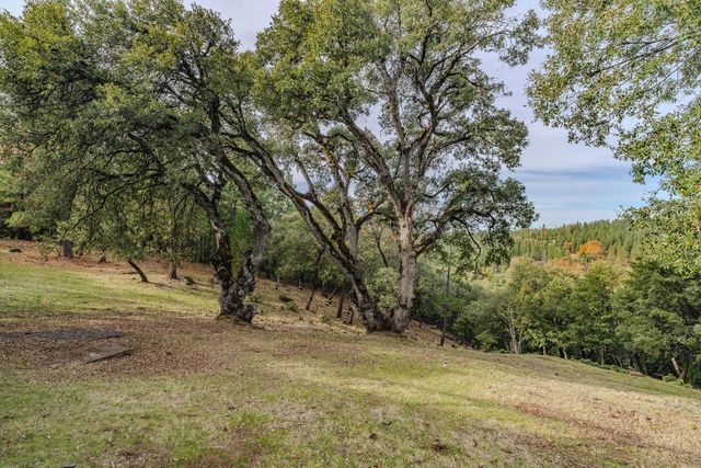 19387 Ponderosa Dr, Volcano, CA 95689