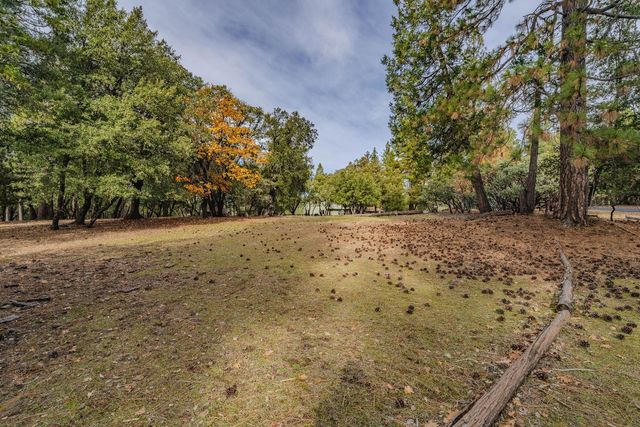 19387 Ponderosa Dr, Volcano, CA 95689