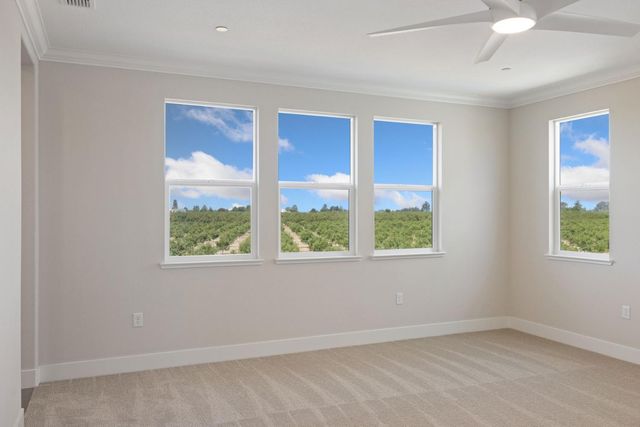 727 E Chelsea St, Lodi, CA 95242