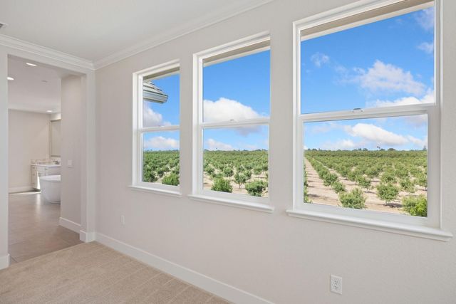 727 E Chelsea St, Lodi, CA 95242