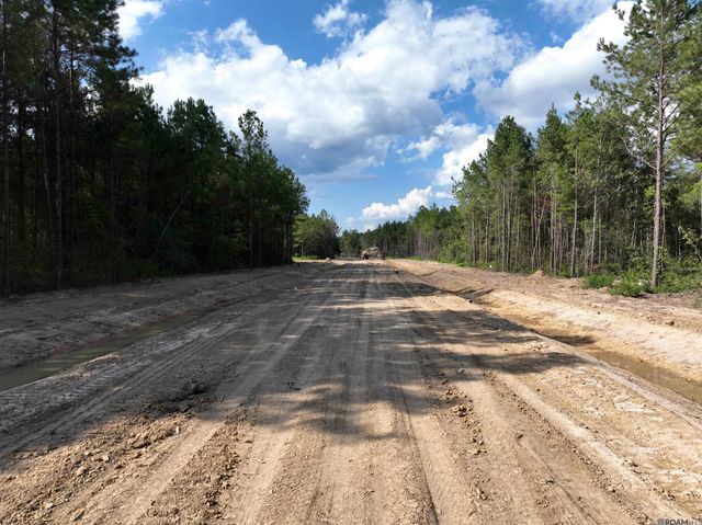 Lot 13 Honey Grove, Livingston, LA 70754