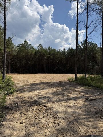 Lot 13 Honey Grove, Livingston, LA 70754