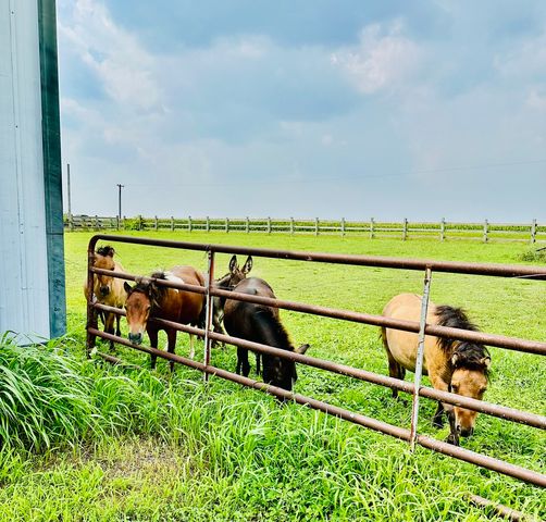 1146 N 2150th Road, Ottawa, IL 61350