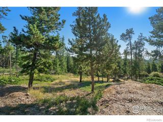231 Granite Drive, Drake, CO 80515