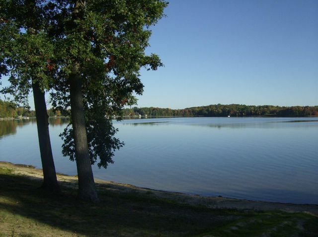 132 Shores Drive, Rose Lake Twp, MI 49655