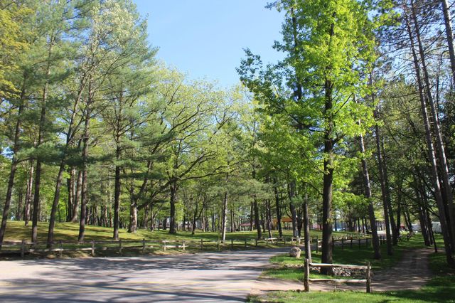 132 Shores Drive, Rose Lake Twp, MI 49655