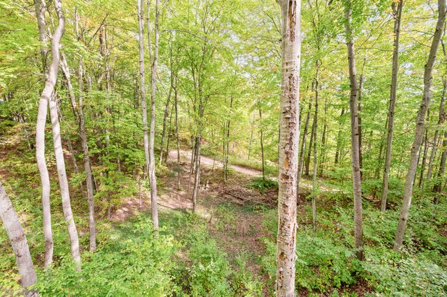 132 Shores Drive, Rose Lake Twp, MI 49655