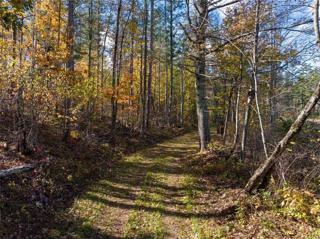 11256N Orion Road, Hayward, WI 54843