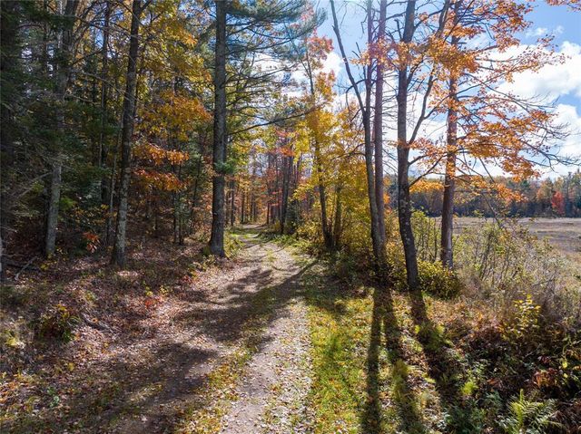 11256N Orion Road, Hayward, WI 54843