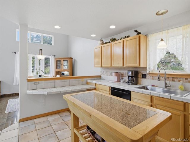 117 Spruce Trail, Bailey, CO 80421
