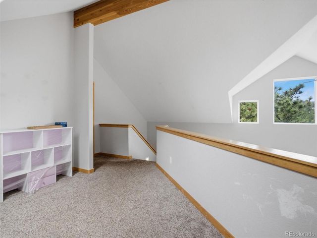 117 Spruce Trail, Bailey, CO 80421