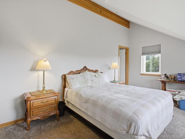117 Spruce Trail, Bailey, CO 80421