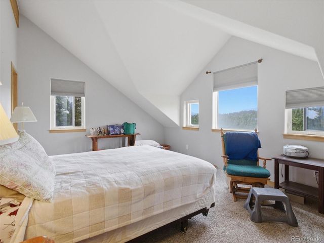 117 Spruce Trail, Bailey, CO 80421