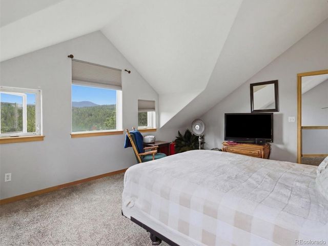 117 Spruce Trail, Bailey, CO 80421