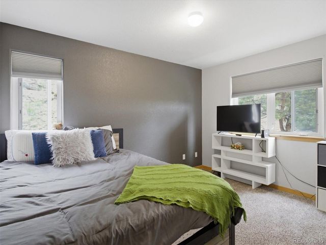 117 Spruce Trail, Bailey, CO 80421
