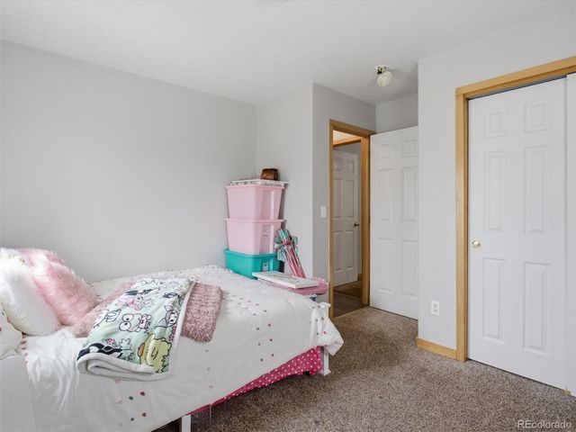 117 Spruce Trail, Bailey, CO 80421