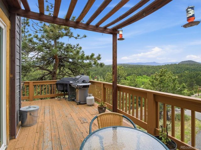 117 Spruce Trail, Bailey, CO 80421