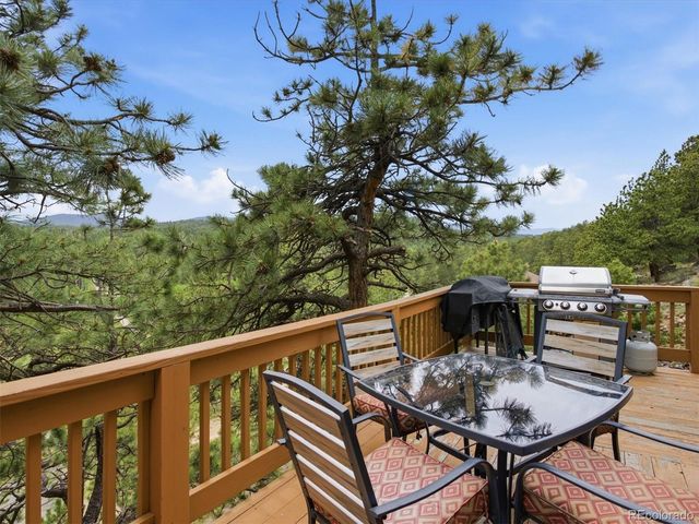 117 Spruce Trail, Bailey, CO 80421