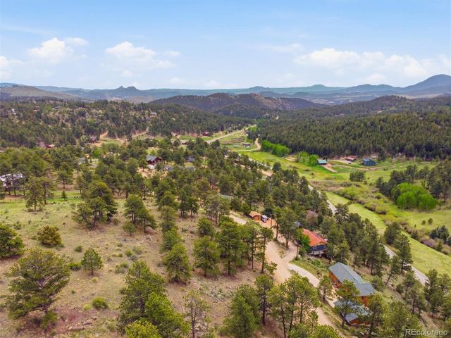 117 Spruce Trail, Bailey, CO 80421