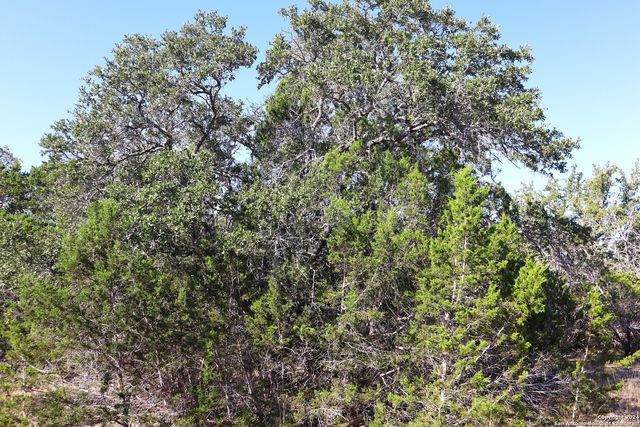 LOT 122 Palomino Springs, Bandera, TX 78003