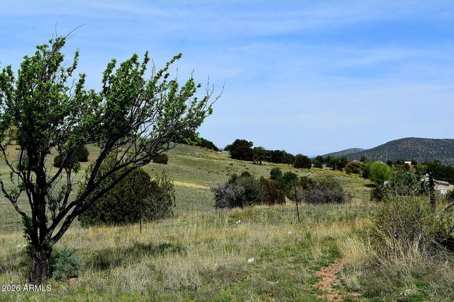 550 S ROLLING HILLS Road, Young, AZ 85554