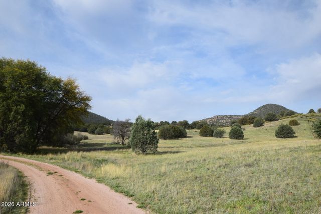 550 S ROLLING HILLS Road, Young, AZ 85554