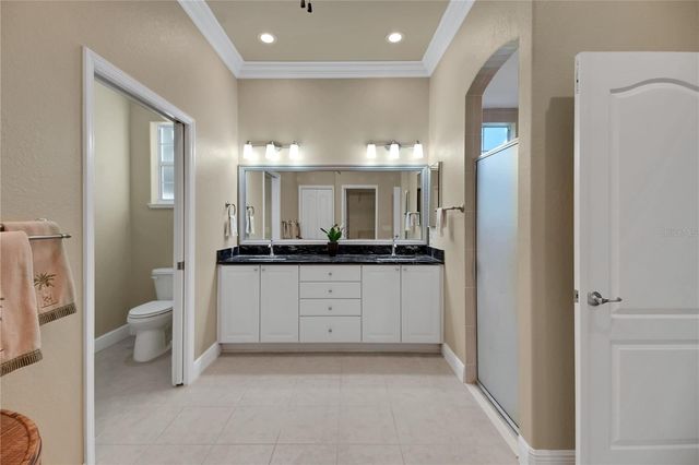 17600 SE 88TH COVINGTON CIRCLE, The Villages, FL 32162