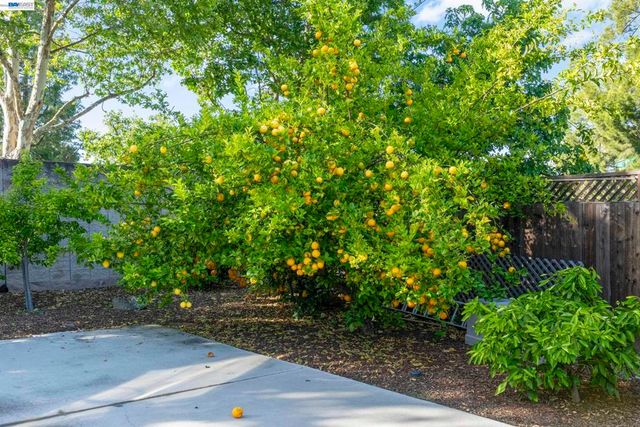 3668 Chelsea Ct, Pleasanton, CA 94588
