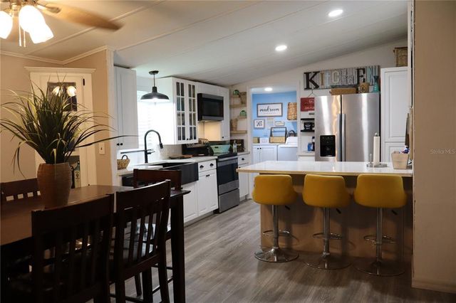 46 WILDERNESS DRIVE, Lake Panasoffkee, FL 33538
