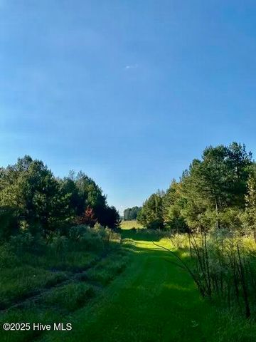 Tbd Sandhill Road, Rockingham, NC 28379