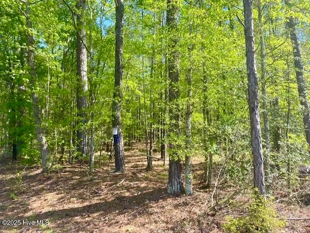 Tbd Sandhill Road, Rockingham, NC 28379