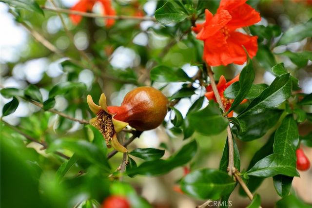 1704 S Date Avenue, Alhambra, CA 91803