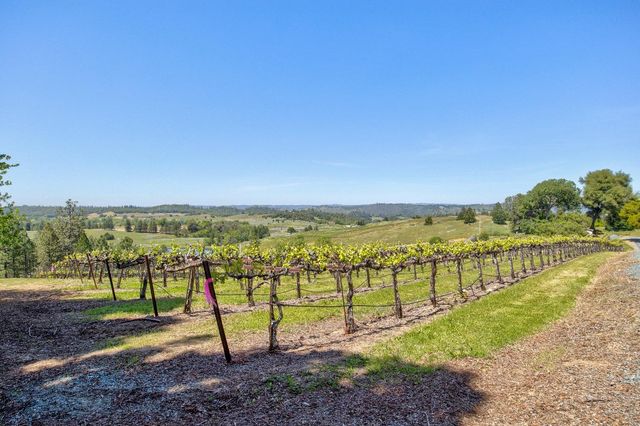 13320 Oakstream Rd, Plymouth, CA 95669