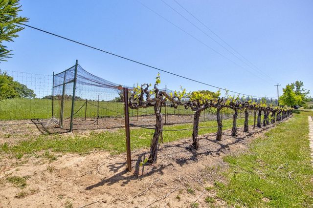 13320 Oakstream Rd, Plymouth, CA 95669