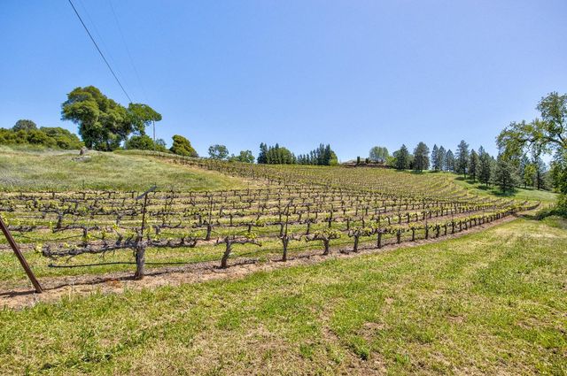 13320 Oakstream Rd, Plymouth, CA 95669