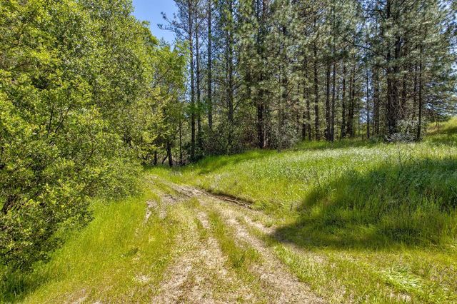13320 Oakstream Rd, Plymouth, CA 95669