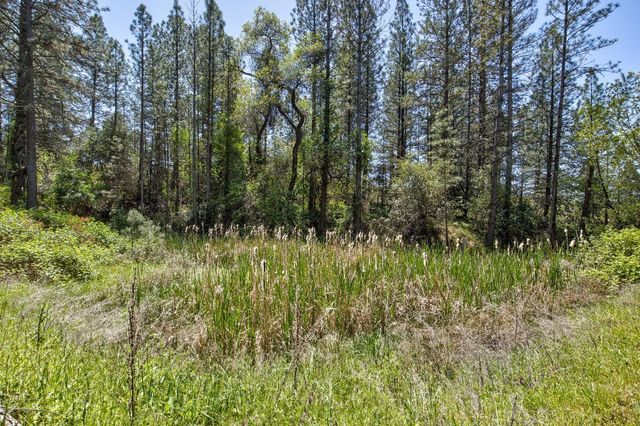 13320 Oakstream Rd, Plymouth, CA 95669