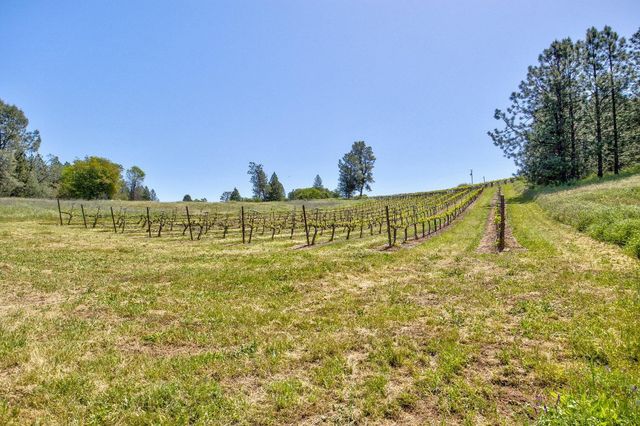 13320 Oakstream Rd, Plymouth, CA 95669