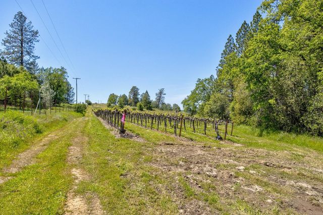 13320 Oakstream Rd, Plymouth, CA 95669