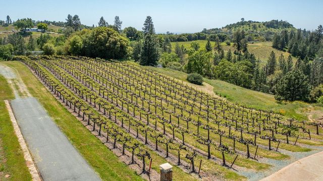 13320 Oakstream Rd, Plymouth, CA 95669