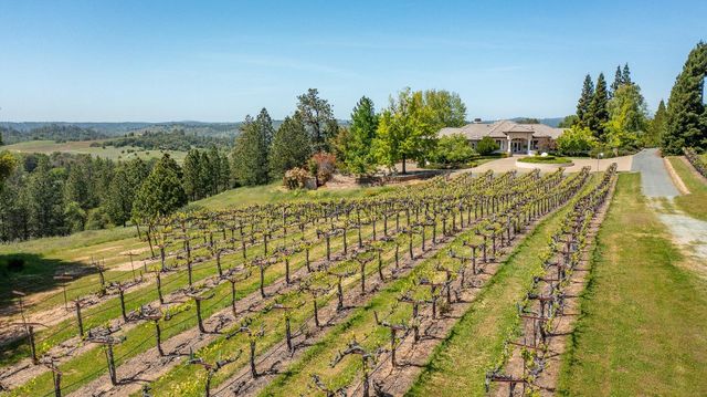 13320 Oakstream Rd, Plymouth, CA 95669