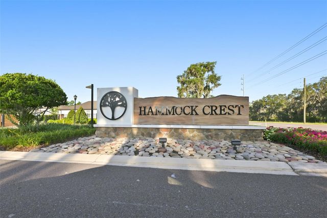 11481 OWASEE TRAILS PLACE, Riverview, FL 33569