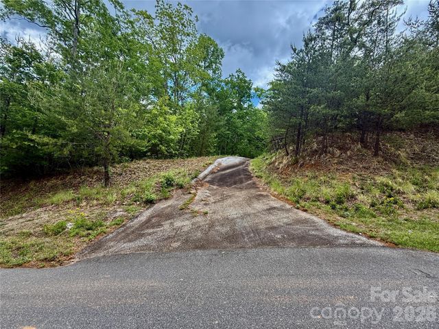 274 Bills Mountain Trail 274, Lake Lure, NC 28746
